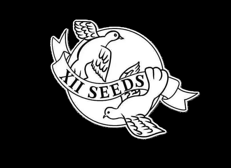 XII SEEDS logo with two doves representing freedom and unity, carrying the XII SEEDS banner