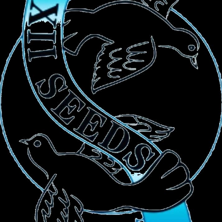 Two Birds of Freedom logo