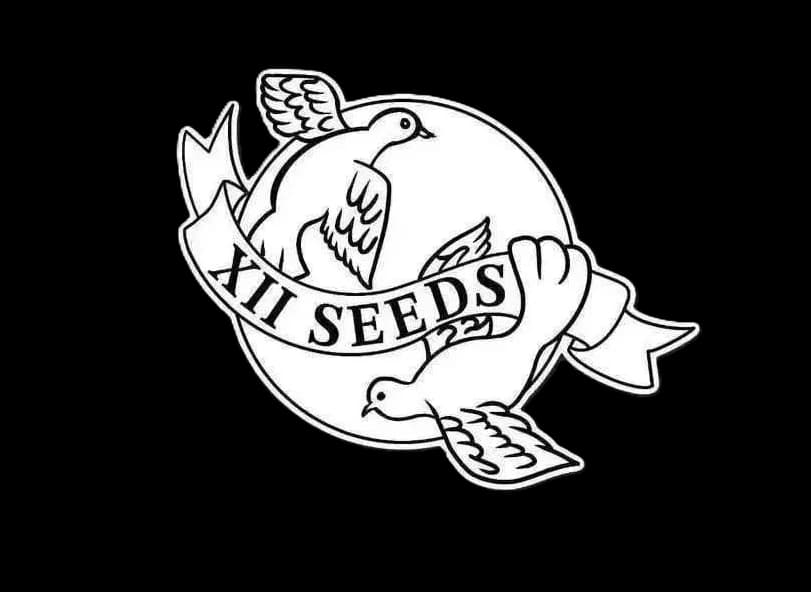 Two Birds of Freedom logo